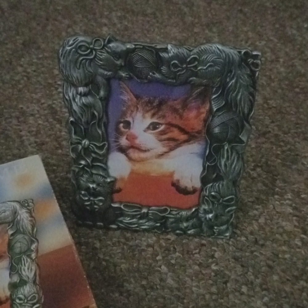 Pet frame